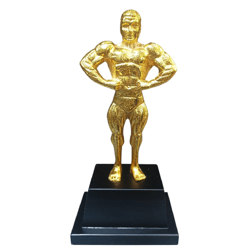 17 Inch Bodybuilder Metal Trophy