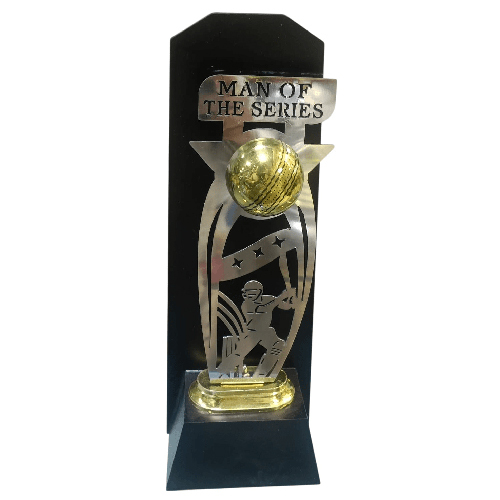 1031 Man Of The Series Trophy