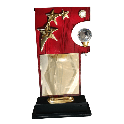 13 Inch Red Trophy