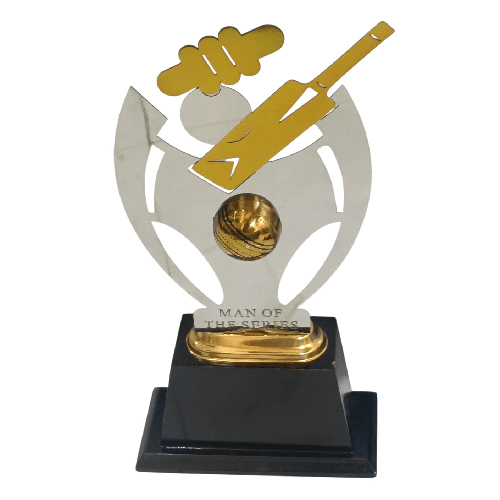 12 Inch Man Of Series Trophy