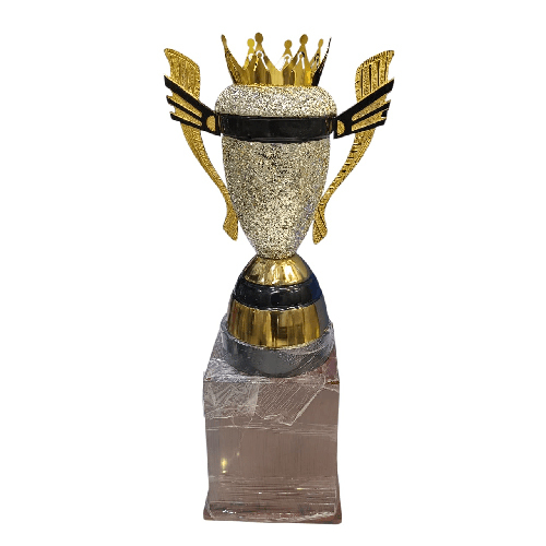 24 Inch Citizen Cup Trophy