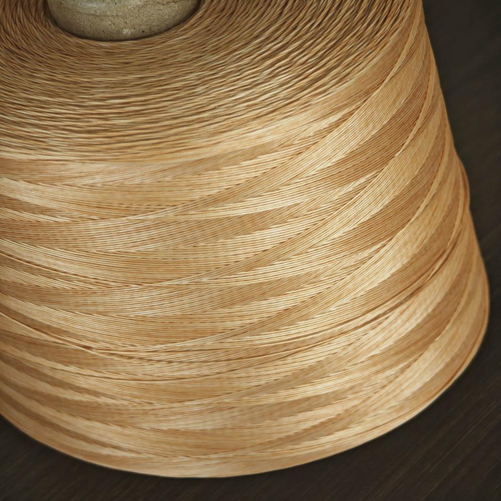 100%Polyester Threads High Tenacity Polyester Yarn for Rubber Hose Braiding