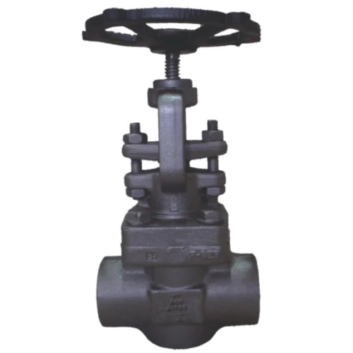 Forged Steel Globe Valves - Color: Black / Silver