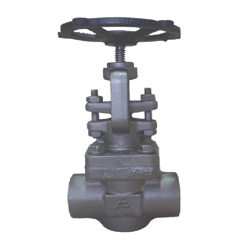 800 PSI Forged Steel Globe Valves
