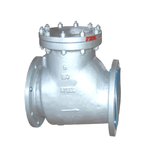 Class 150 Check Valve - Application: Industrial