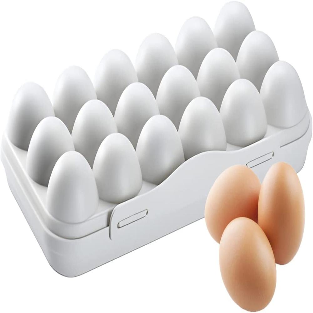 Egg Box - Age Group: Any