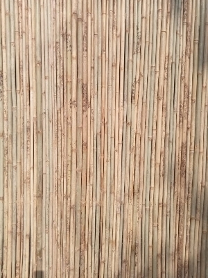 Bamboo Covering Walls
