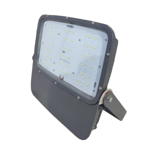 AC Flood Light