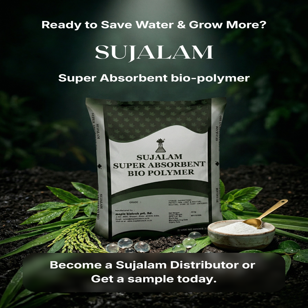 Super Absorbent Bio Polymer (Powder)