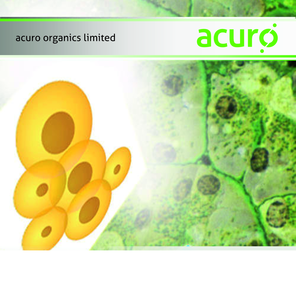 Strong Acid Cation Resin for Water Softener