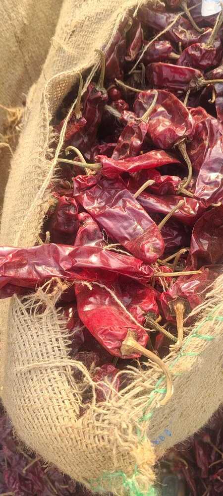 Dubai Bullet Red Chilli