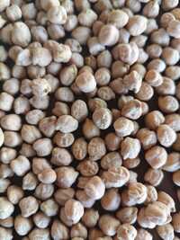 White Chick Peas