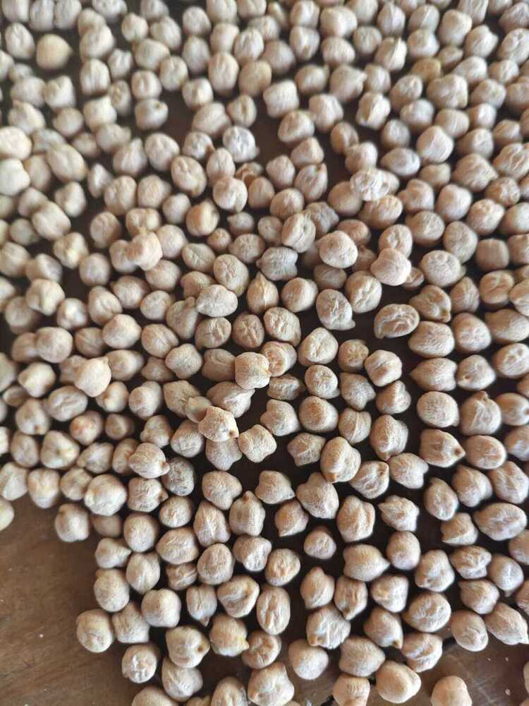 White Chick Peas