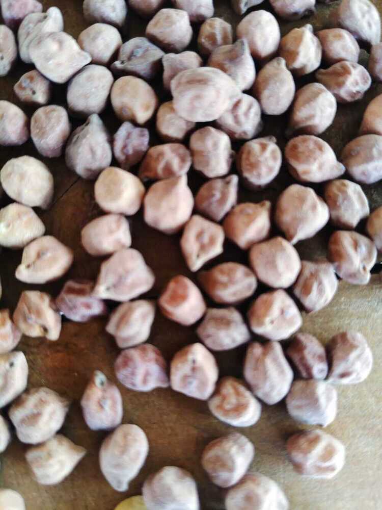 White Chick Peas