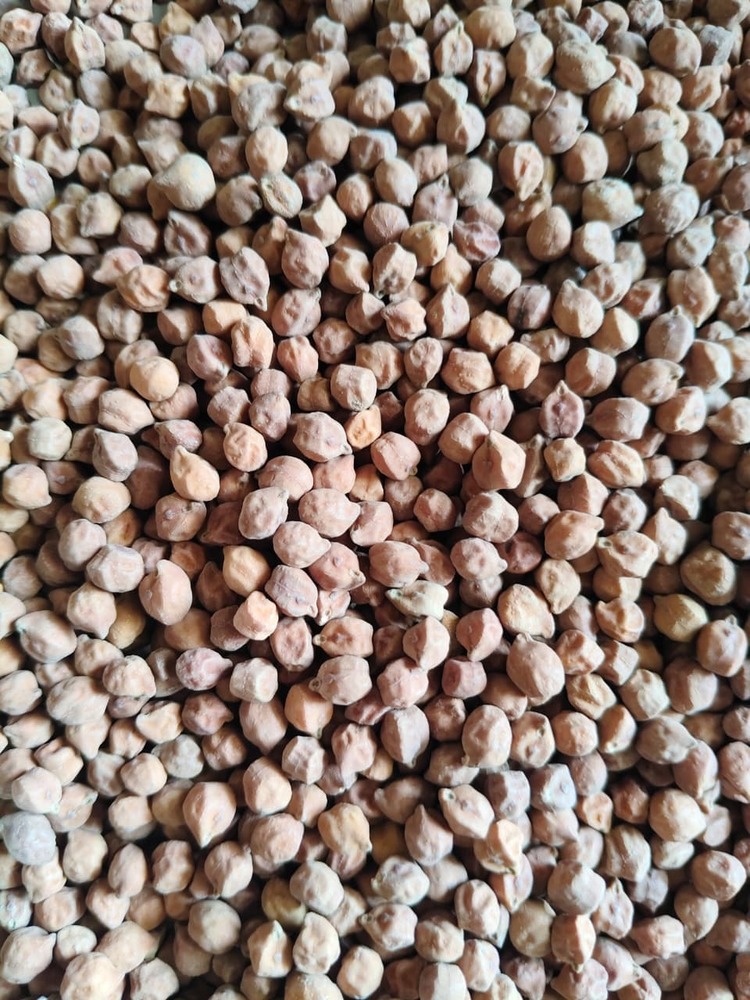 White Chick Peas