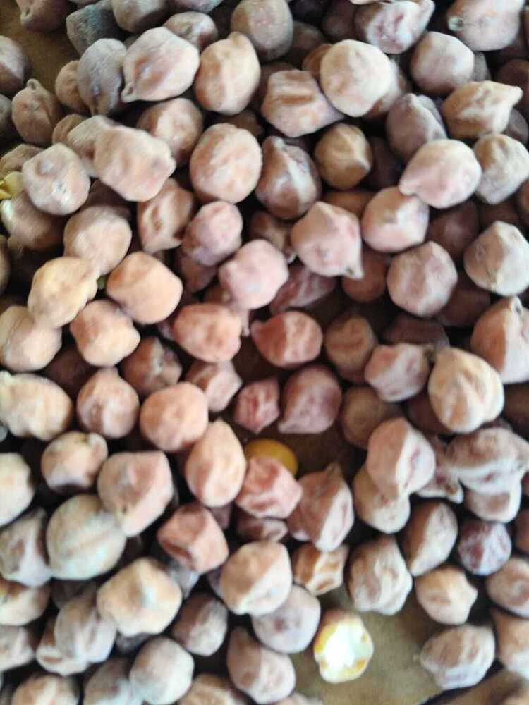 White Chick Peas