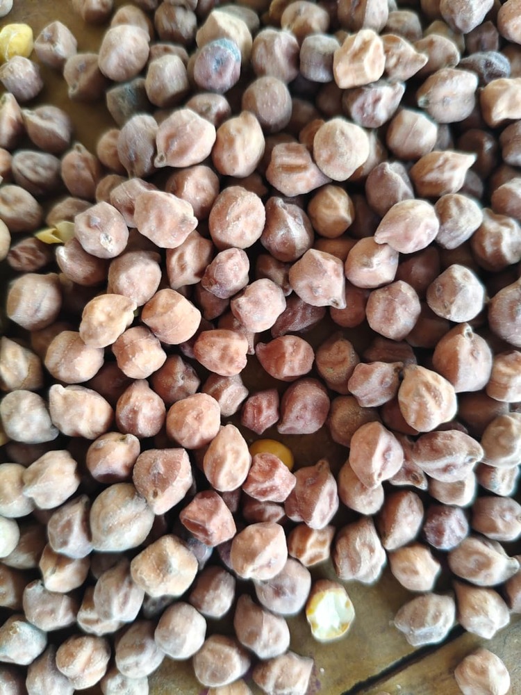 White Chick Peas
