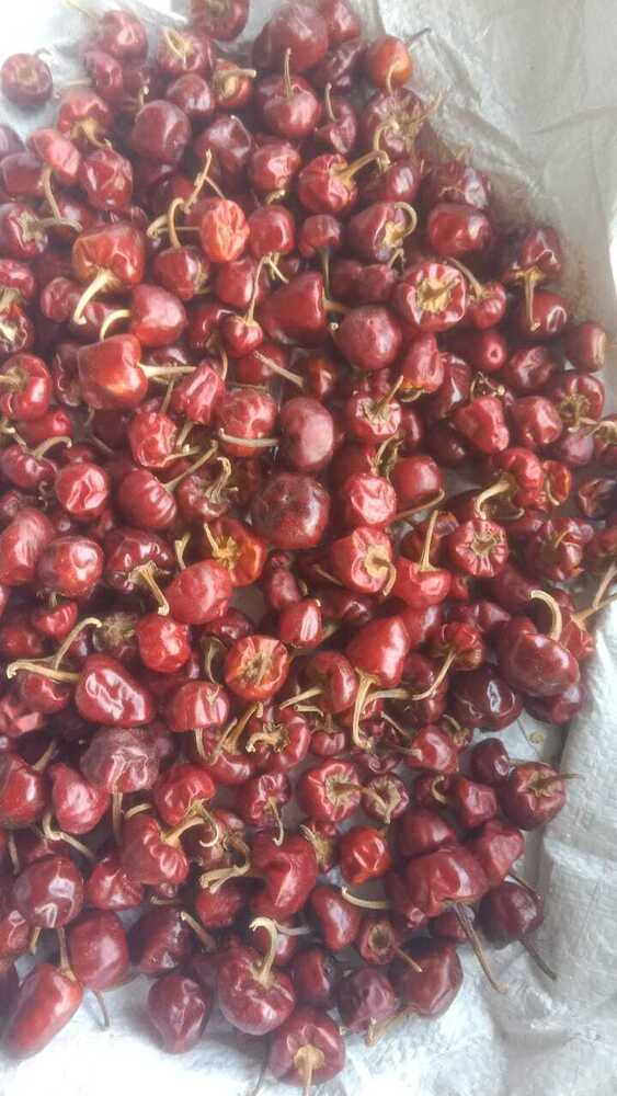 Tomato Red Chilli