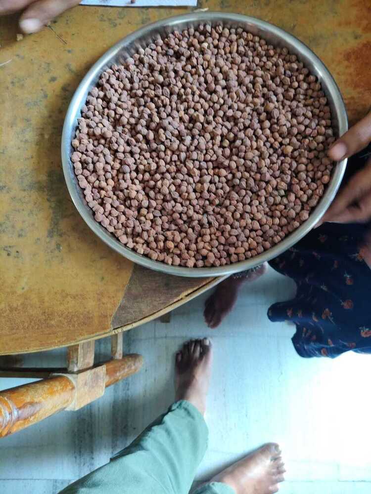 White Chick Peas