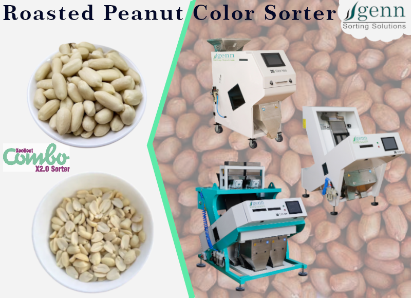 Roasted Peanut Color Sorting Machine
