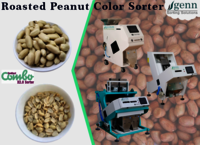 Roasted Peanut Color Sorting Machine - Accuracy: 99.9  %