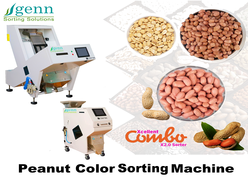Ground Nut Color Sorting Machine - Accuracy: 99.9 %