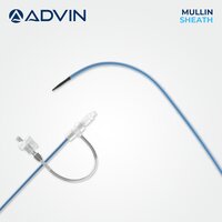 Mullins Guiding Sheath