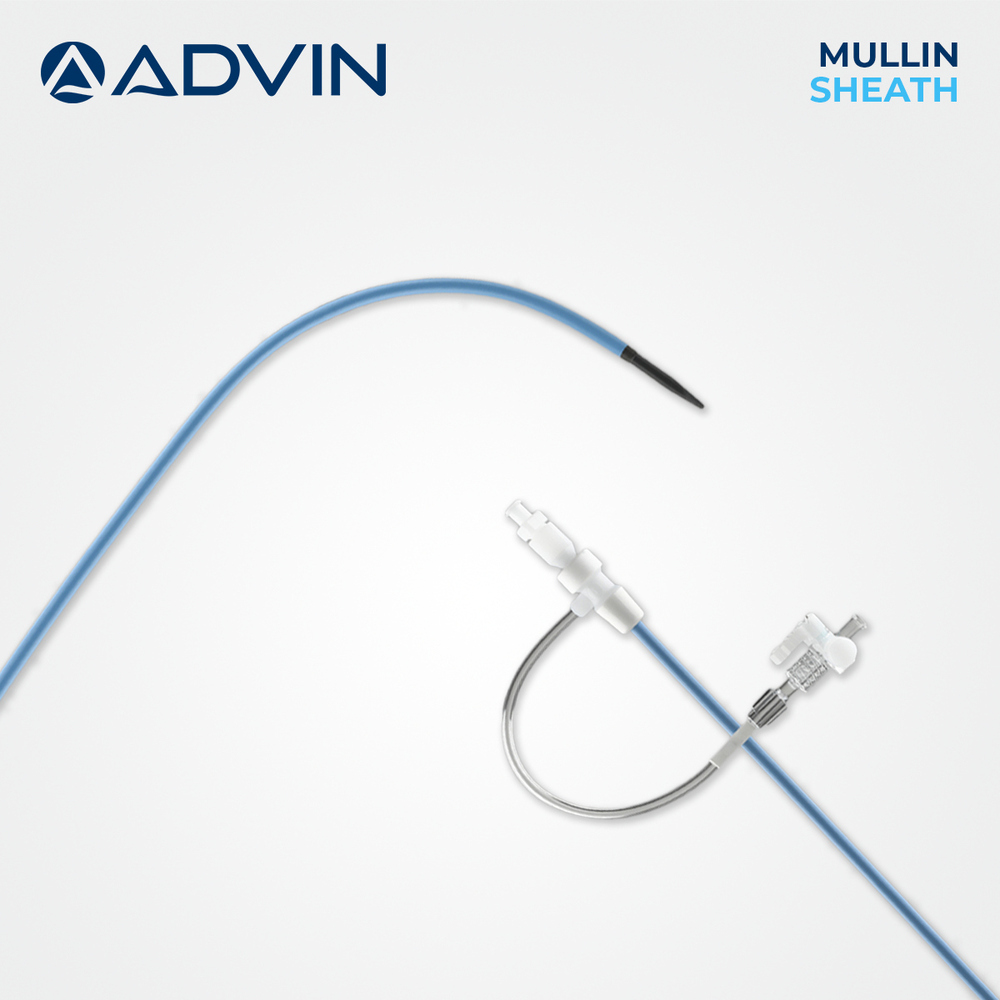 Mullins Guiding Sheath
