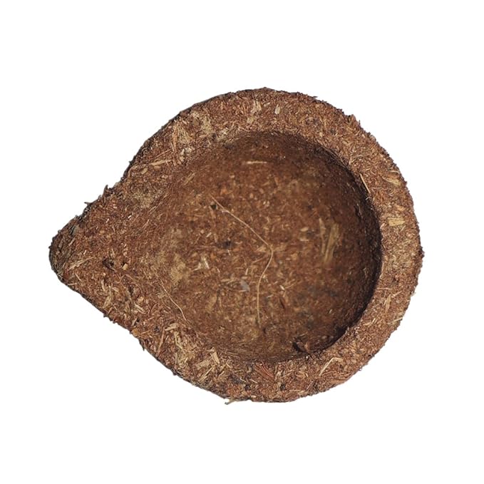 Cow Dung Diya - Color: Brown