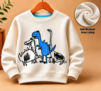 Boys Winter Sweatshirt - Age Group: 6-14 Years
