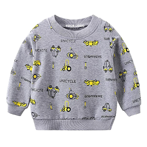 Boys Winter Sweatshirt