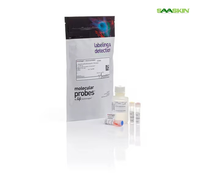 Thermo Fisher Qubit dsDNA Quantification Assay Kits