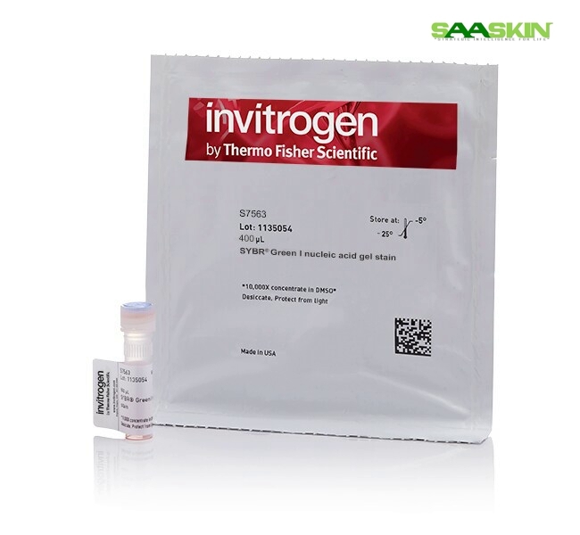 Thermo Fisher Invitrogen SYBR Green