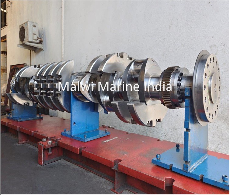 BERGEN - C25:33L9 - C25:33L8 - C25:33L6 - CRANKSHAFT