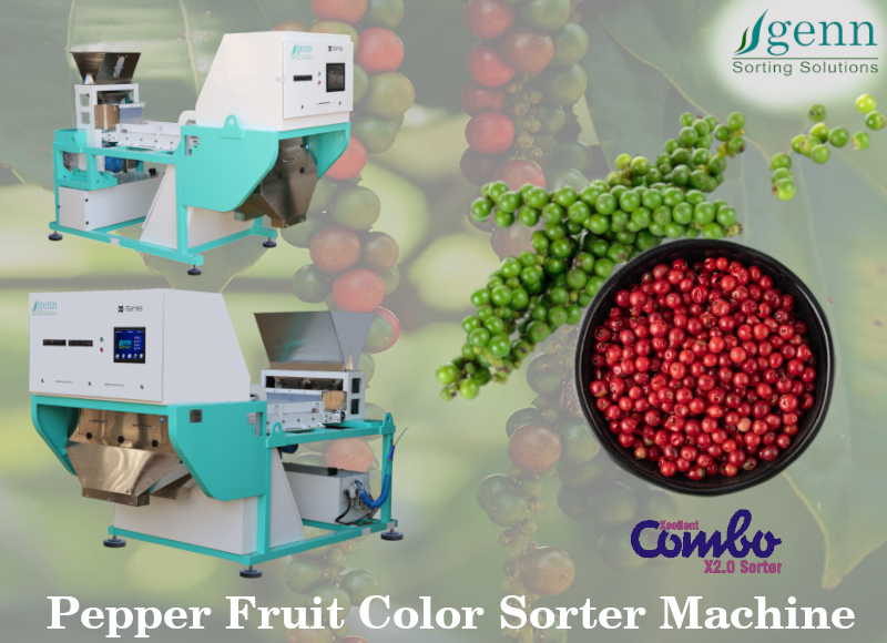 Pepper Fruit Color Sorter - Accuracy: 99.9 %