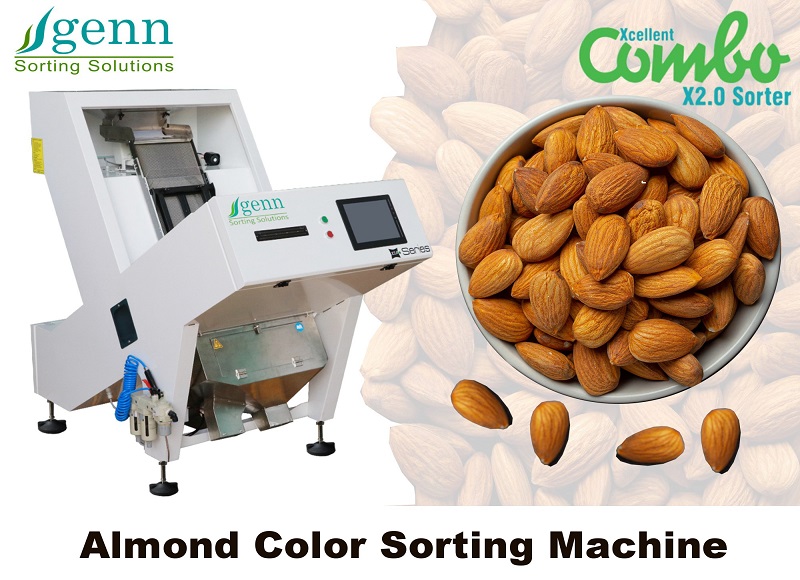 Almond Color Sorting Machine - Accuracy: 99.9  %
