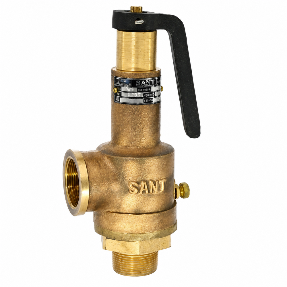 Bronze Safety Valve - Application: Control