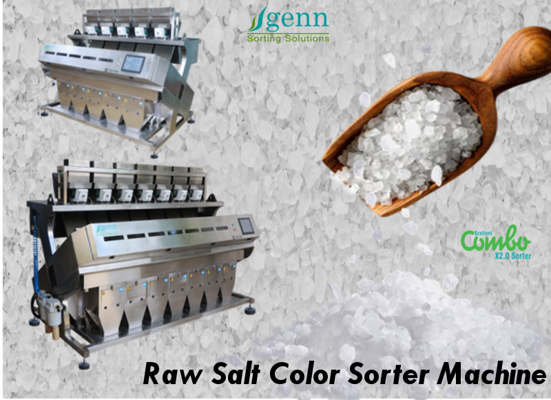 Raw Salt Color Sorter - Accuracy: 99.9  %