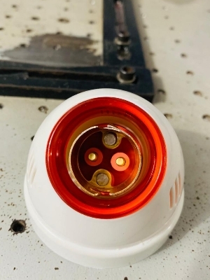 Fancy Bulb Holder - Color: White Red