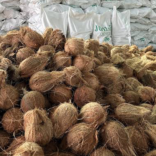 Coconut Semi Husked