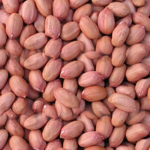 Ground Nut