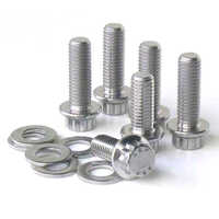 Stainless Steel 310 Fasteners