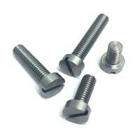 Stainless Steel 321 Fasteners