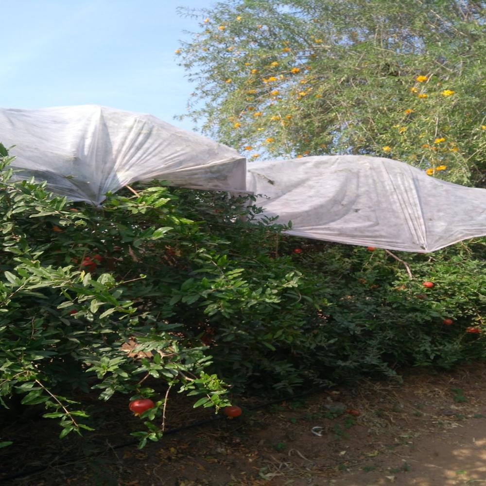Weed Cantrol Pp Non Woven Fabric PP