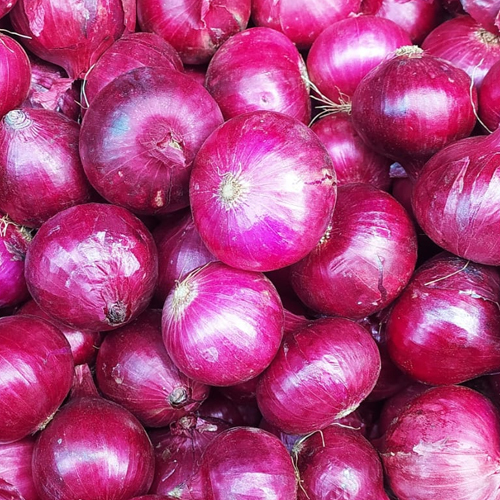 ताज़ा प्याज़