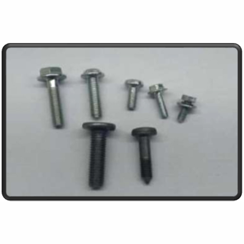 Flanged Screws