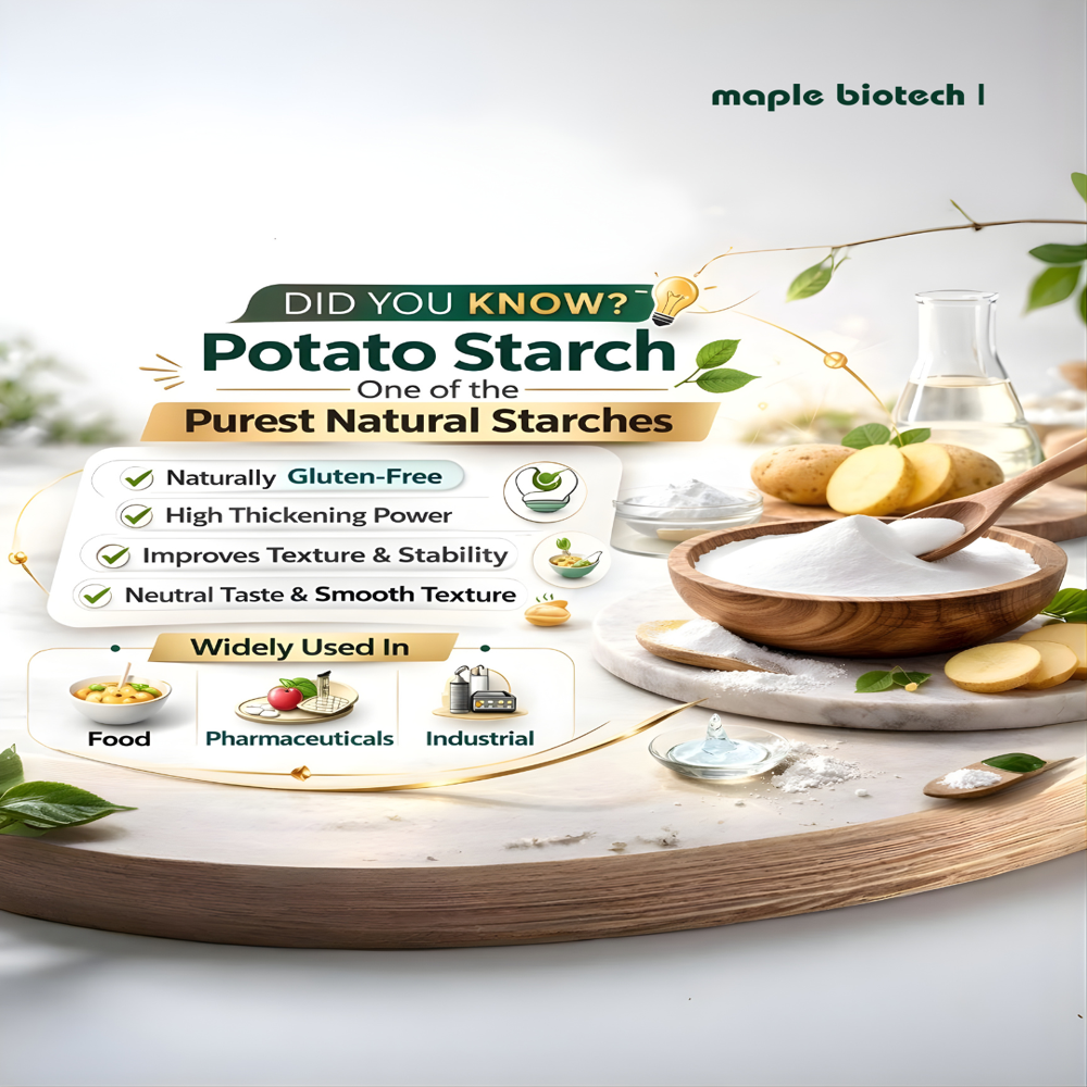 Potato Starch Powder