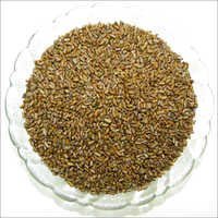 तेज पत्ता तोरा बीज