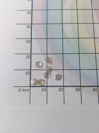 Round Cut Sequin