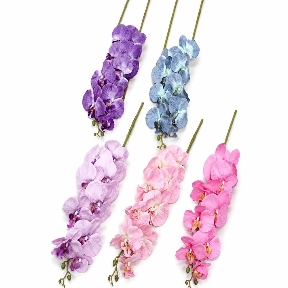 Bloom Majesty - Color: Multicolour